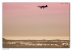 Free to Fly Free to Fly