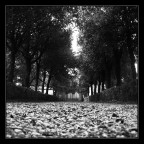 Verso il cancello Verso il cancello