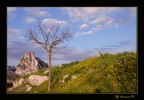 Primavera alle porte