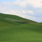 prato colorato prato colorato