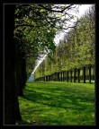 Perspective in Versailles 3 Perspective in Versailles 3