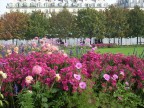 Jardin des Tuileries Jardin des Tuileries