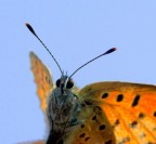 ..guardami.. ..guardami..