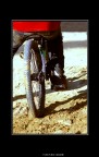 Free Ride