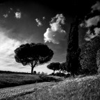 via Appia 2008 via Appia 2008