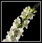 un' altra prova un' altra prova