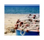 Icolori del mare3 Icolori del mare3