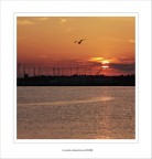 L'ultimo volo del giorno...... L'ultimo volo del giorno......