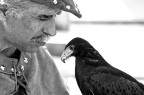 Il falconiere