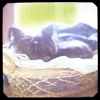 Nuvola! (PolaCane) Nuvola! (PolaCane)