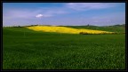 Val d'Orcia