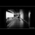 ::: FUORI DAL TUNNEL ::: ::: FUORI DAL TUNNEL :::