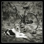 Lira e Oliver Lira e Oliver