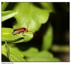 yuuhuuu c'e' nessuno la in bassooo??? yuuhuuu c'e' nessuno la in bassooo???