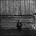 Wooden portrait Wooden portrait