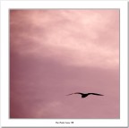 un nuovo inizio un nuovo inizio