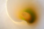 macro8 macro8