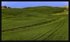 Val d'Orcia 2