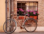 la bicicletta ....è passione la bicicletta ....è passione