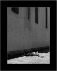 2 cuori senza capanna [NSF I luoghi del cuore]