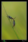 Bacio tra...... Bacio tra......