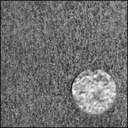 introspettiva introspettiva