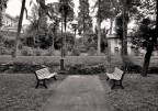 In un angolo del parco