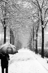 NEVICATA A MELEGNANO NEVICATA A MELEGNANO