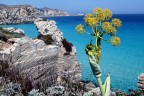 Cala rossa - favignana Cala rossa - favignana
