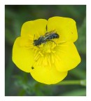 un...riposino? un...riposino?