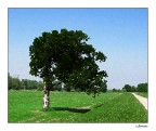Il vento del Po Il vento del Po