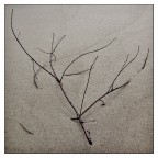 Prigioniero Prigioniero