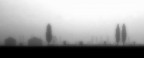 Nebbia Nebbia