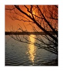 two colors two colors