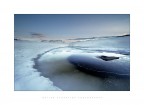 Silent Water Silent Water