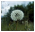 siamo soli... siamo soli...