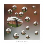 le Belle e la Bestia le Belle e la Bestia