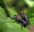 Dai caro sbrighiamoci che ci guardano.... Dai caro sbrighiamoci che ci guardano....