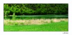 Oasi di verde Oasi di verde