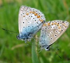 ...il tempo degli amori.. ...il tempo degli amori..