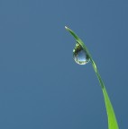 Tutto...in una goccia Tutto...in una goccia