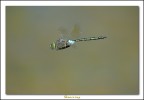 Hovering 2 Hovering 2
