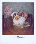 Cigno su polaroid Cigno su polaroid