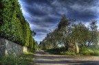 la via la via
