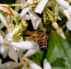 presa al volo presa al volo