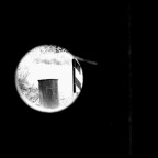 misantropica misantropica