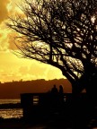 al tramonto al tramonto