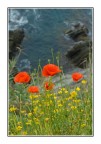 La Primavera ed il Mare La Primavera ed il Mare