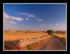 ...Sulla via del grano... ...Sulla via del grano...