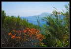 impressioni di maggio